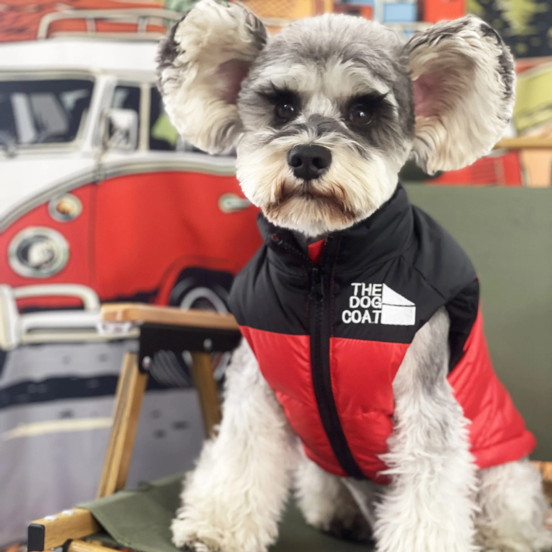 luxury dog clothes in autumn and winter Teddy Schnauzer pet black warm down vest dog costume
luxury dog clothes in autumn and winter Teddy Schnauzer pet black warm down vest dog costume