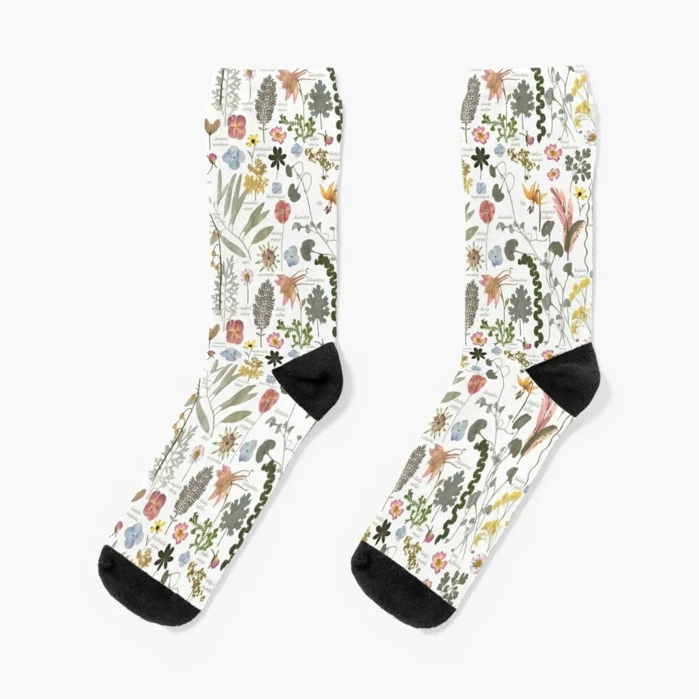 Botanical Sketchbook Pressed Flower Garden Socks shoes custom sports Women's Socks Men's 
Botanical Sketchbook Pressed Flower Garden Socks shoes custom sports Women's Socks Men's