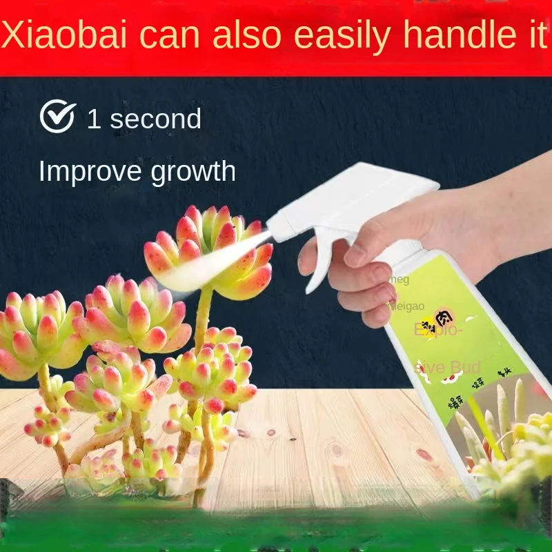 Succulent blastin 500ml superior blastin nutrient solution fertilizer color root and promote side germination
Succulent blastin 500ml superior blastin nutrient solution fertilizer color root and promote side germination