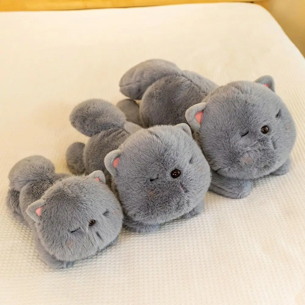 Stuffed Cat Toy Cute Imitation Cat Plush Doll Soft Stuffed Animal Toy for Babies Birthday Gift for Sleepy Little Ones Cat Doll
Stuffed Cat Toy Cute Imitation Cat Plush Doll Soft Stuffed Animal Toy for Babies Birthday Gift for Sleepy Little Ones Cat Doll