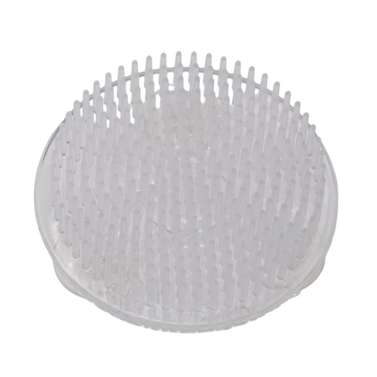 High Quality Plastic Round Base Holder Spiky Frog Suitable for Creating Beautiful and Creative Floral Arrangements
High Quality Plastic Round Base Holder Spiky Frog Suitable for Creating Beautiful and Creative Floral Arrangements