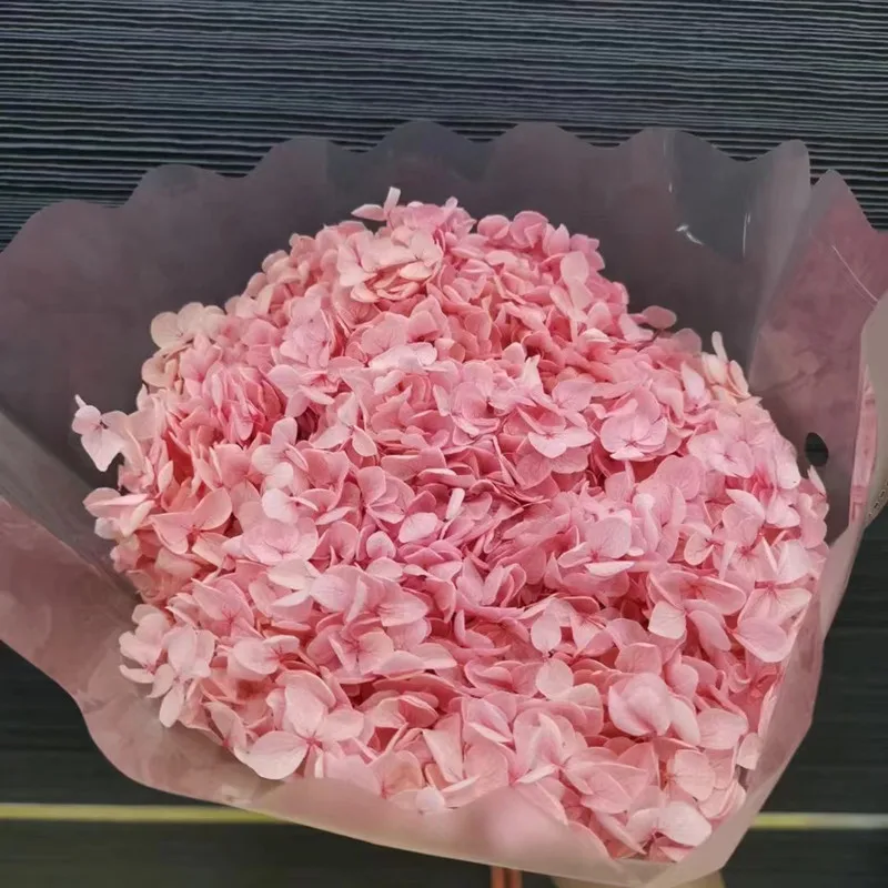 Nature Fresh Preserved 1Bunch Anna Hydrangea Whole Branch Dried Flower Bridal Wedding Bouquet Party Supplies Wedding
Nature Fresh Preserved 1Bunch Anna Hydrangea Whole Branch Dried Flower Bridal Wedding Bouquet Party Supplies Wedding