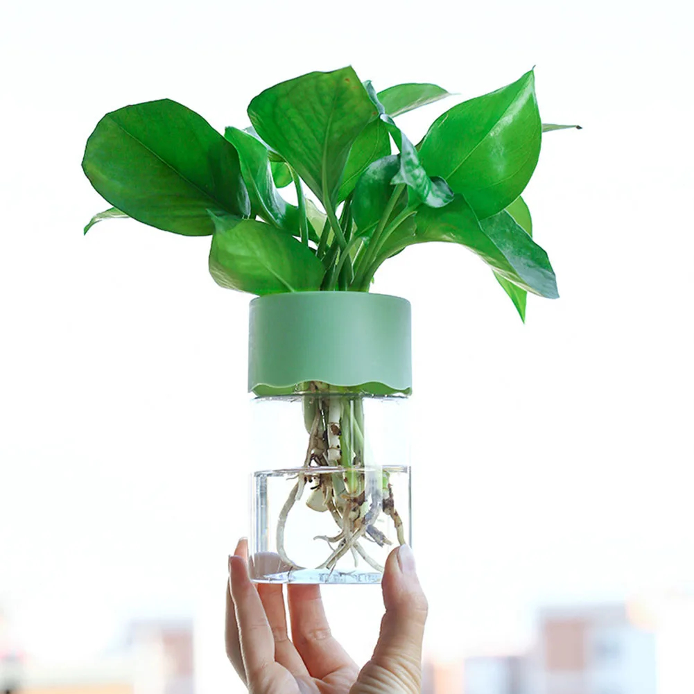 Plant Pots Hydroponic Pot Transparent Vegetable Water Planting Vase Hydroponic Nursery Plant Pots Stylish Container
Plant Pots Hydroponic Pot Transparent Vegetable Water Planting Vase Hydroponic Nursery Plant Pots Stylish Container