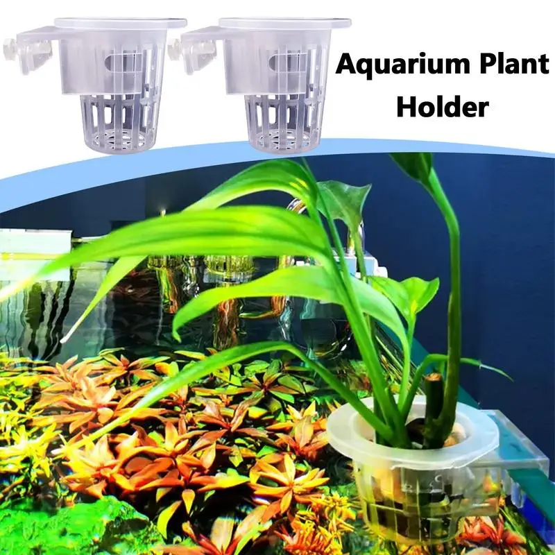 2 Pcs Hanging Aquarium Plant Holder Adjustable Fish Tank Plant Pot With Holes Transparent Aquarium Planter Water Decoration
2 Pcs Hanging Aquarium Plant Holder Adjustable Fish Tank Plant Pot With Holes Transparent Aquarium Planter Water Decoration