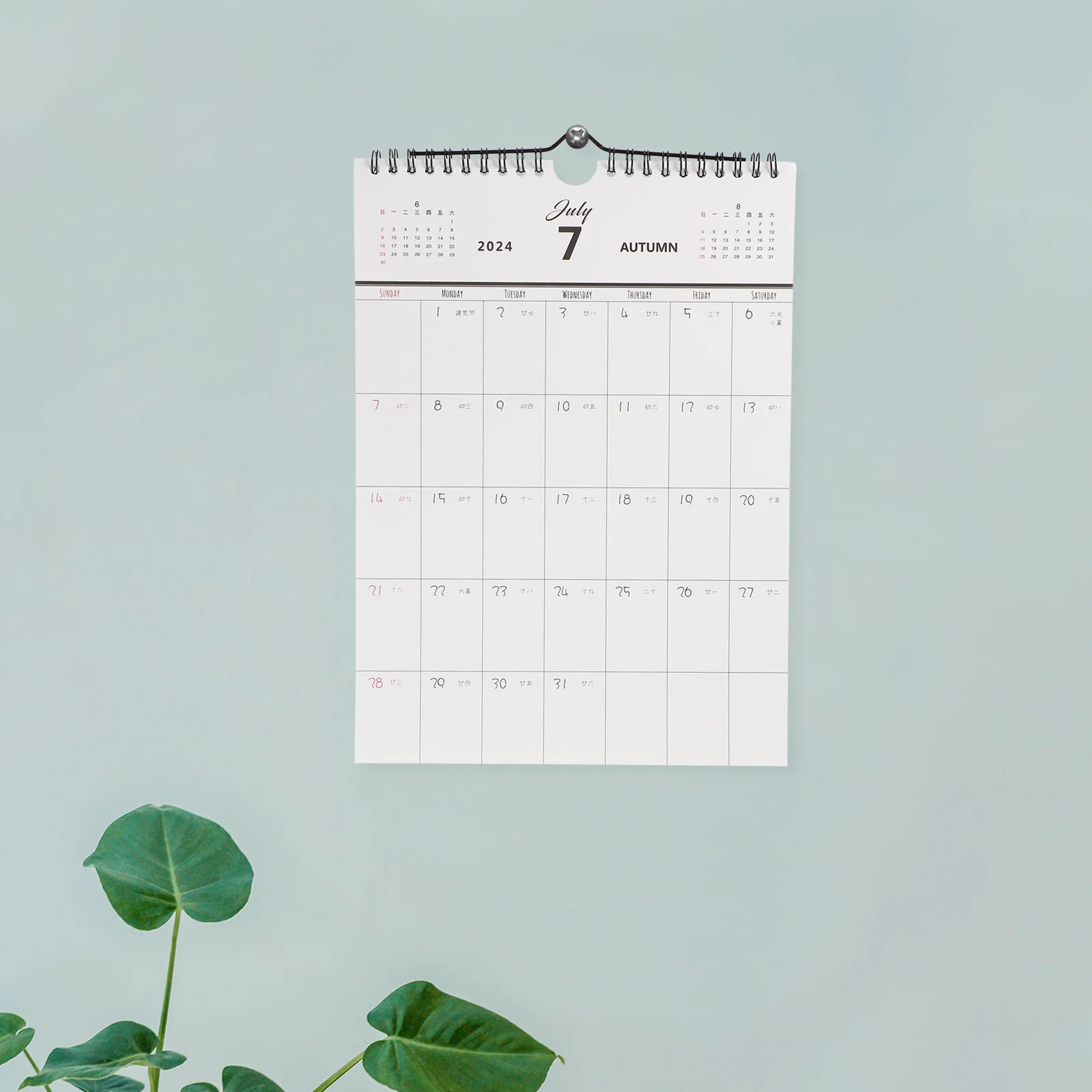 Planning Calendar Sturdy Countdown Room Daily Wall Hanging Calendar Home Appointment Hanging for Home Office School
Planning Calendar Sturdy Countdown Room Daily Wall Hanging Calendar Home Appointment Hanging for Home Office School
