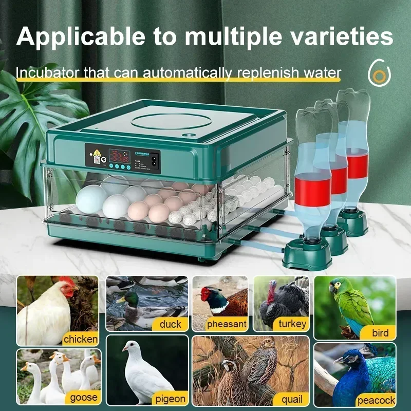 

Fully Hatching Bird Turning Poultry Hatcher Chicken Quail Incubator Automatic Farm Brooder 9/15 Turner Eggs Tool Incubation