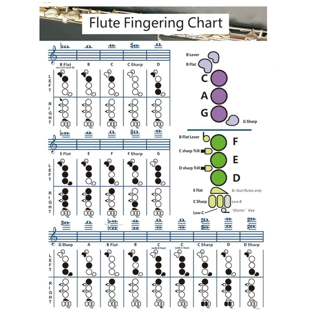 

YOUZI Flute Chord Chart Educational Chord Poster Finger Placement Reference Poster Music Wall Art For Teachers Students
