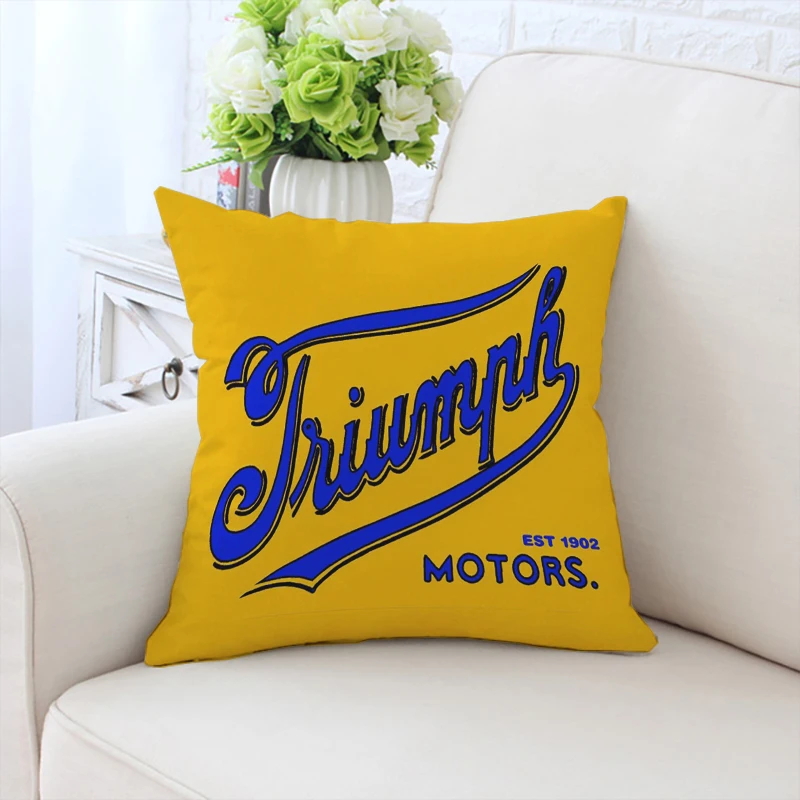 

50x50cm Pillow cover T-Triumph double-sided printed short plush chair waist backrest sofa cushion cover custom gift 40x40cm