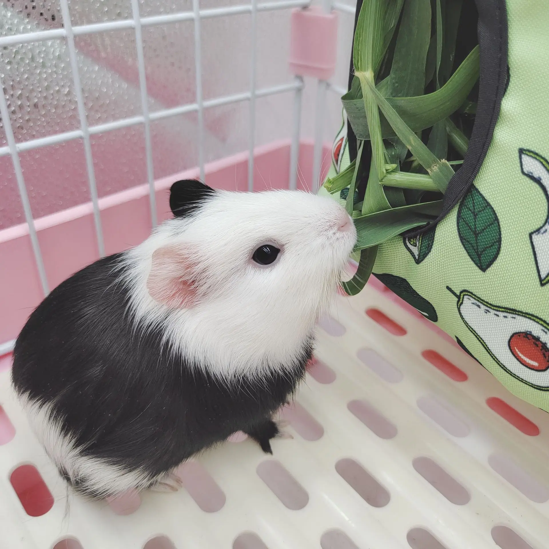 Guinea Pigs 2/3 Holes Hay Feeding Bags Strawberry Printed Rabbit Hanging Feeder Chinchilla Food Organizer Pet Cage Supplies Guinea Pigs 2/3 Holes Hay Feeding Bags Strawberry Printed Rabbit Hanging Feeder Chinchilla Food Organizer Pet Cage Supplies