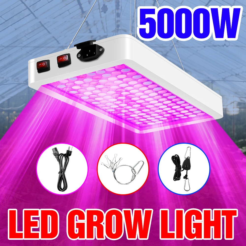 4000W 5000W Full Spectrum Plant Growth Light Bulb Indoor Hydroponic Phyto Lamp LED 220V Plant Growth Light Seed Flower Lighting
4000W 5000W Full Spectrum Plant Growth Light Bulb Indoor Hydroponic Phyto Lamp LED 220V Plant Growth Light Seed Flower Lighting