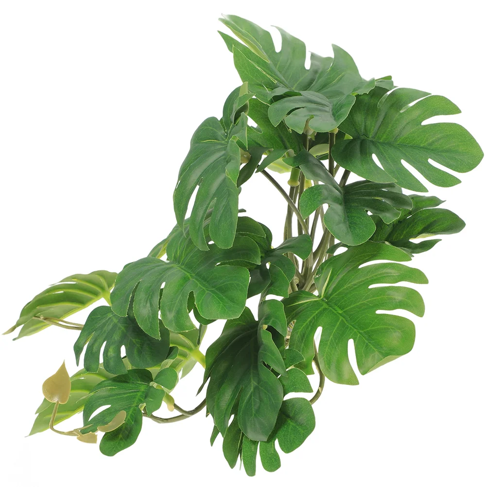 Glass Suction Cups for Hanging Plants Indoor Reptile Decorations Terrarium Plastic
Glass Suction Cups for Hanging Plants Indoor Reptile Decorations Terrarium Plastic