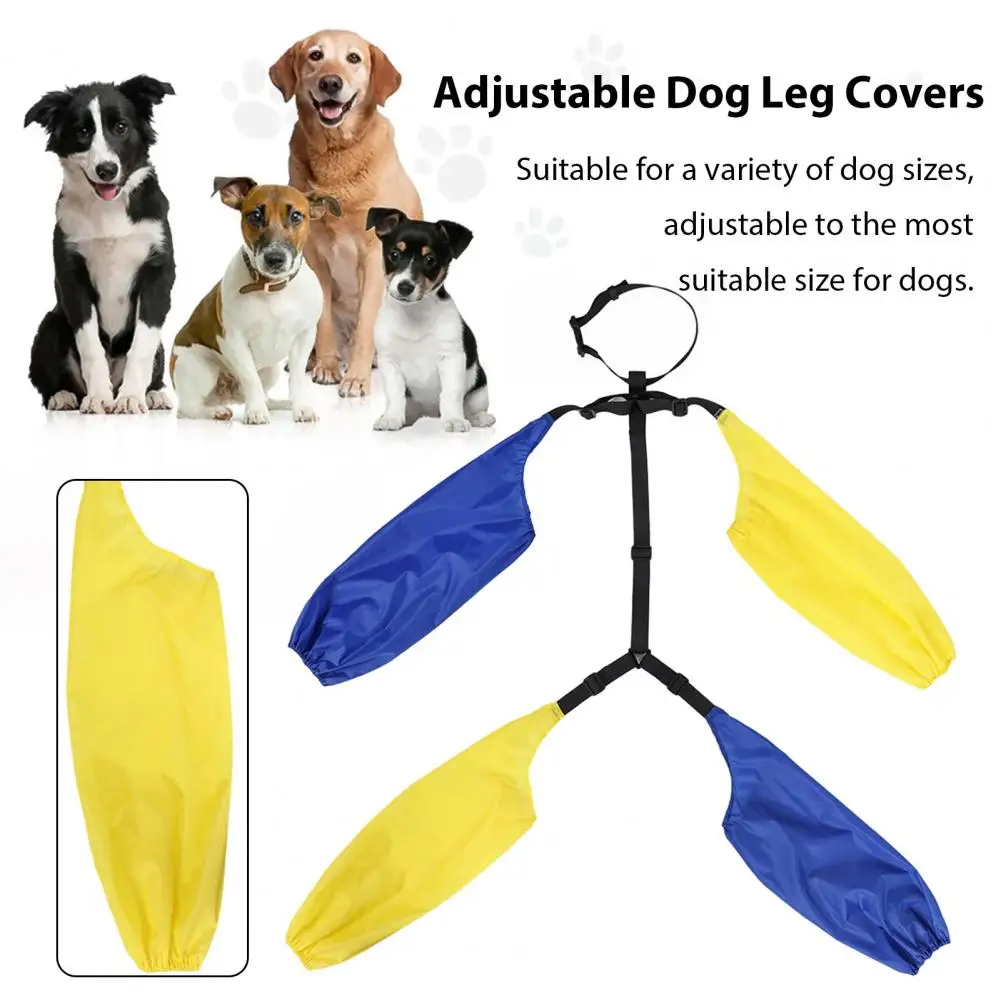 Rainproof Dog Leg Protectors Waterproof Anti-dirty Dog Leg Sleeves for Outdoor Protection Adjustable Pet Pants with Collar
Rainproof Dog Leg Protectors Waterproof Anti-dirty Dog Leg Sleeves for Outdoor Protection Adjustable Pet Pants with Collar