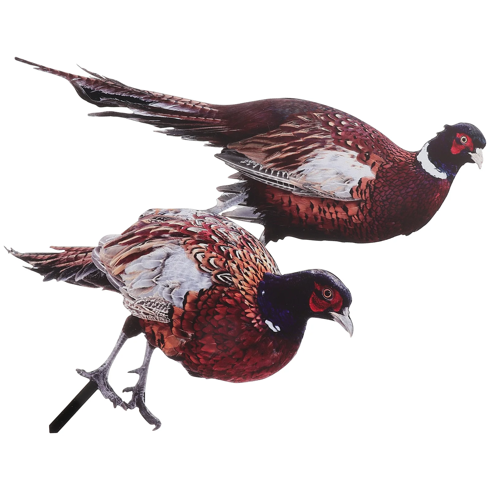 2 Pcs Garden Sculpture Pheasant Garden Decoration Yard Ornament Stake Outdoor Adornment Insert Ground Plug Duck Sign Yards
2 Pcs Garden Sculpture Pheasant Garden Decoration Yard Ornament Stake Outdoor Adornment Insert Ground Plug Duck Sign Yards