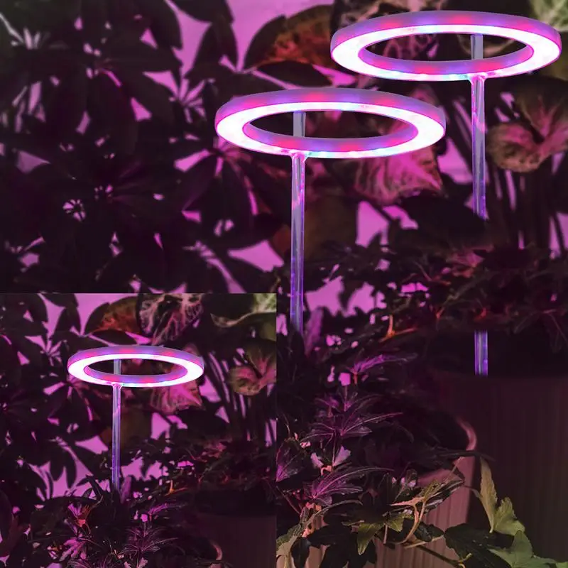 Ring LED Plant Grow Light Plant Growth Lamp Indoor Potted Plants Led Growing Lamp Succulent Desktop Hydroponics Led Growing
Ring LED Plant Grow Light Plant Growth Lamp Indoor Potted Plants Led Growing Lamp Succulent Desktop Hydroponics Led Growing