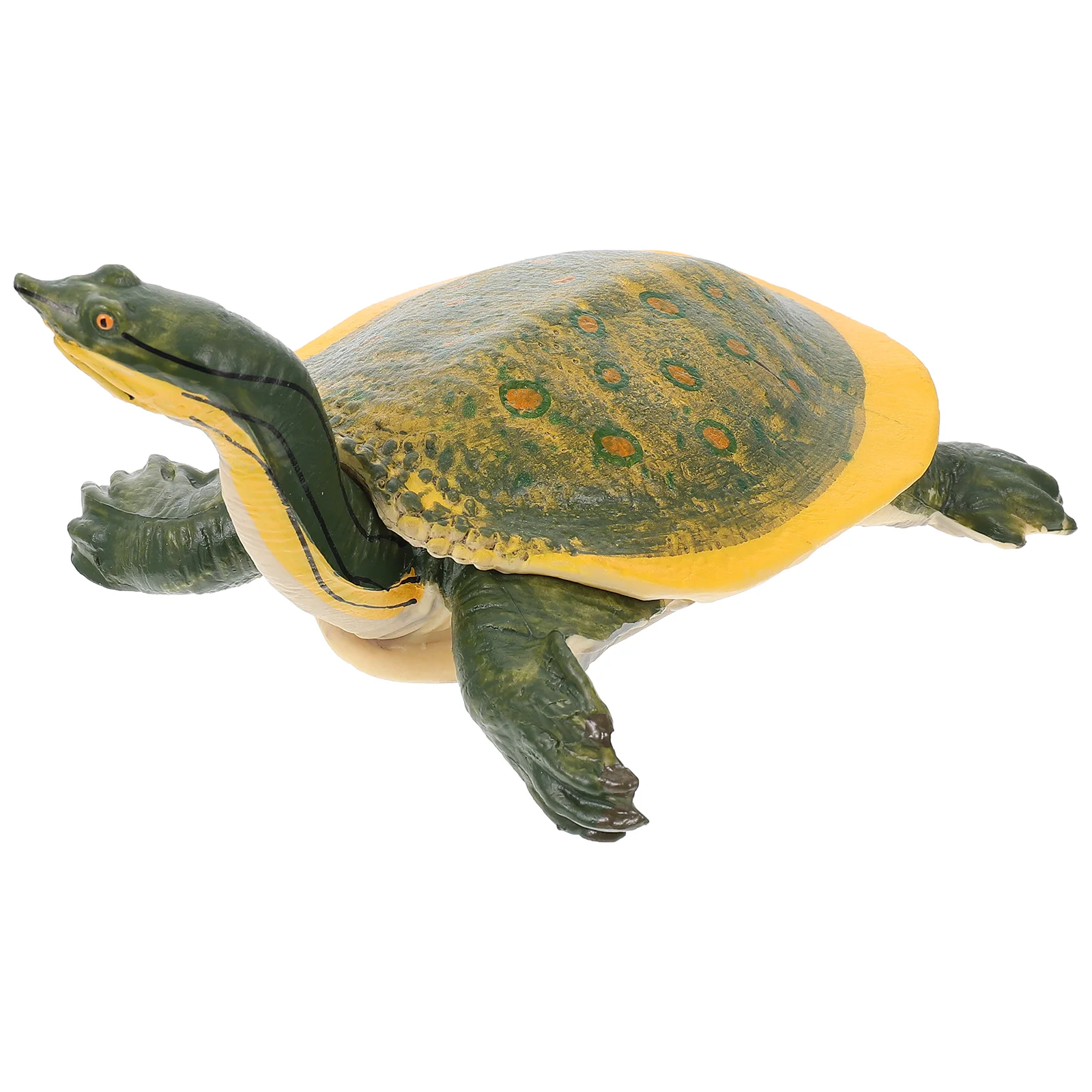 

Turtle Model Sea Adornments Childrens Toys Marine Animals Ocean Decor Amphibious Decors Desktop Solid Aquarium Ornament