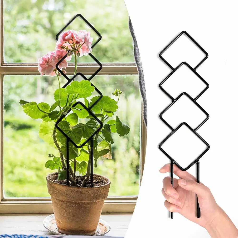 Garden Trellis 4Pcs/Set Practical Rustproof Moisture-Proof Roses Petunias Climbing Plants Trellis Gardening Supplies
Garden Trellis 4Pcs/Set Practical Rustproof Moisture-Proof Roses Petunias Climbing Plants Trellis Gardening Supplies