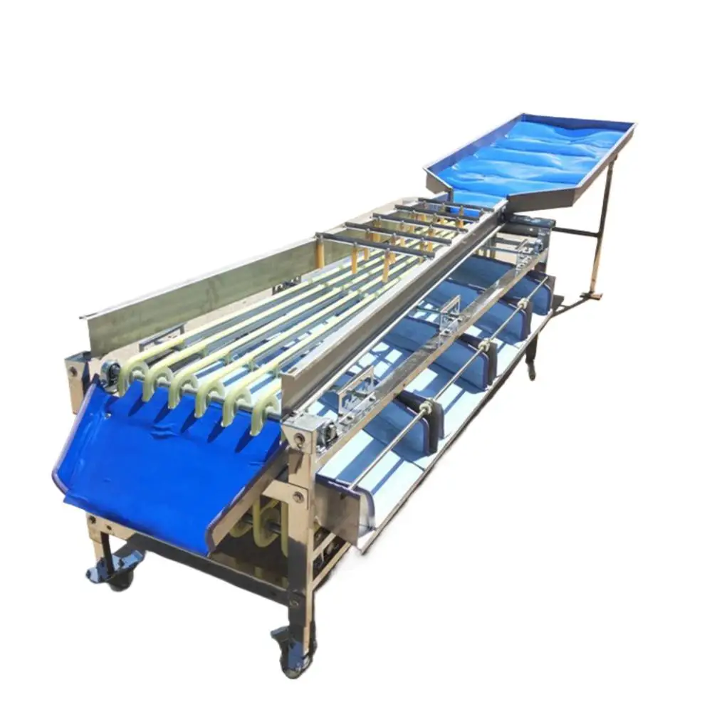 

500-1000KG/H Industrial Large Size Fruit Oranges Sorting Sorter Conveyor Machine Fruit Vegetable Grading Machine