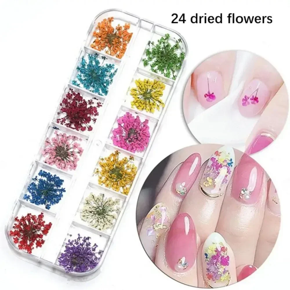24 Flower Nail Art Decoration Real Mini Dried Blossom Stickers Natural Floral Charms Designs Manicure Nails Art Accessories
24 Flower Nail Art Decoration Real Mini Dried Blossom Stickers Natural Floral Charms Designs Manicure Nails Art Accessories