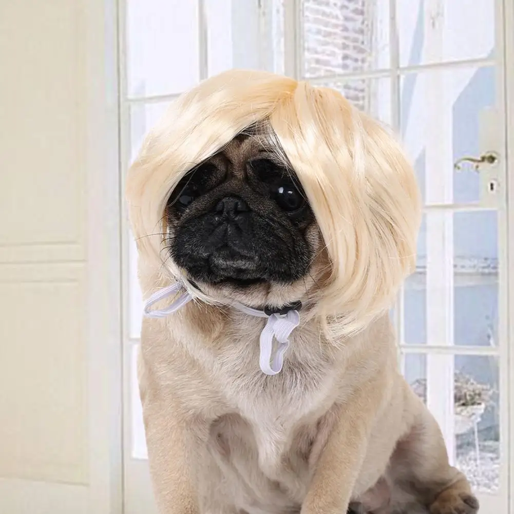 Dog Wig Pet Wig for Cats Dogs Funny Cosplay Headdress with Elastic Band for Halloween Christmas Parties Photo Prop for Pet
Dog Wig Pet Wig for Cats Dogs Funny Cosplay Headdress with Elastic Band for Halloween Christmas Parties Photo Prop for Pet