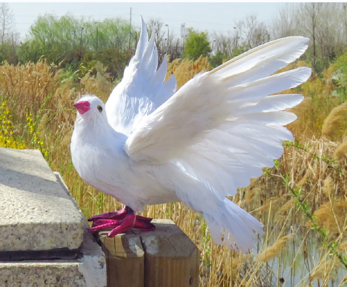 

cute simulation wings dove model foam&feather standing bird doll gift about 30x48cm