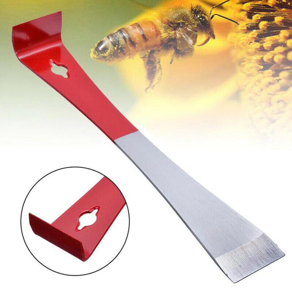 1pcs Stainless Steel Hive Scraper Beekeeping Equipment Tool Beekeeper Scraper Red Tail Beekeeping Accessories
1pcs Stainless Steel Hive Scraper Beekeeping Equipment Tool Beekeeper Scraper Red Tail Beekeeping Accessories