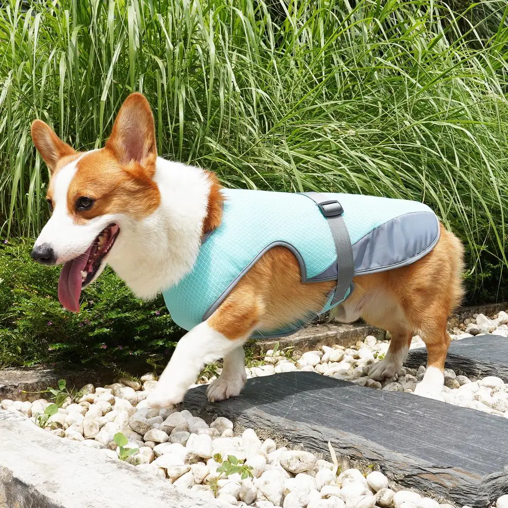 NEW Pet Cooling Coats With Adjustable Safety Buckle Lightweight Breathable Pet Clothes For Small Medium Large Dogs
NEW Pet Cooling Coats With Adjustable Safety Buckle Lightweight Breathable Pet Clothes For Small Medium Large Dogs