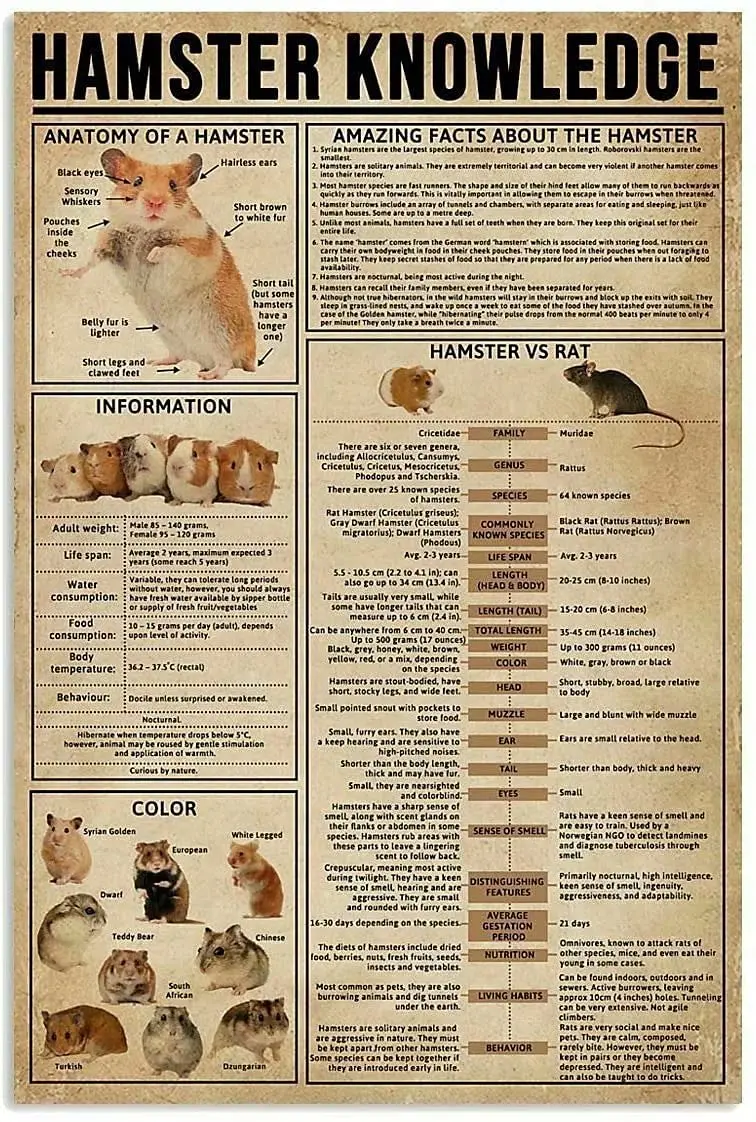 LindaFeeney Hamster Knowledge Retro Metal Tin Sign Anatomy Of A Hamster Printed Poster Cafe School Home Education Living Room Be
LindaFeeney Hamster Knowledge Retro Metal Tin Sign Anatomy Of A Hamster Printed Poster Cafe School Home Education Living Room Be