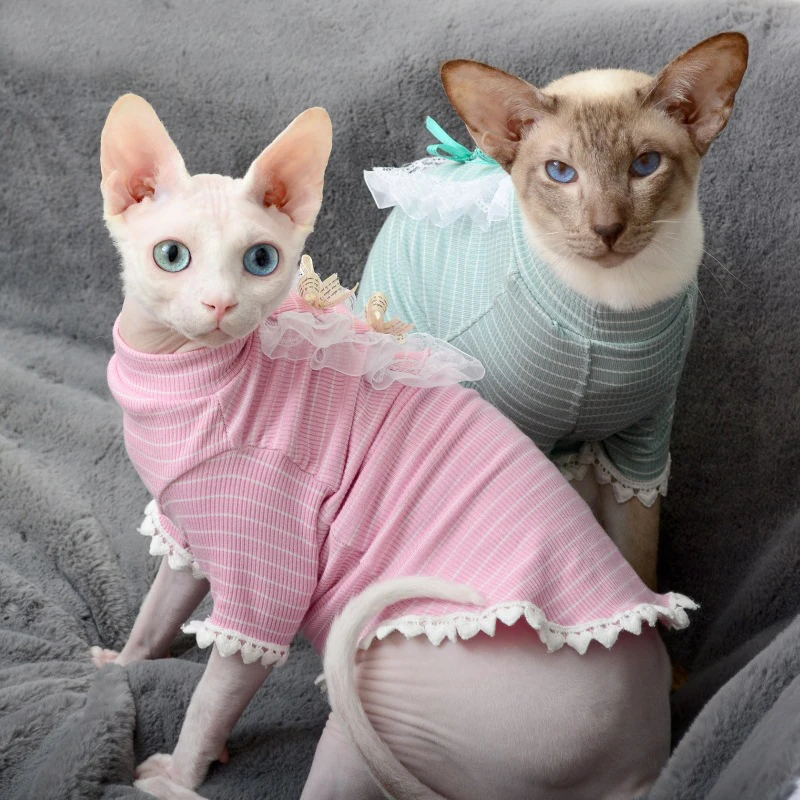 2023 Одежда для кошек без волос на весну и лето, котенок Devon Rex с коротким носом, одежда для кошек, платье для кошек Sphynx
2023 Одежда для кошек без волос на весну и лето, котенок Devon Rex с коротким носом, одежда для кошек, платье для кошек Sphynx