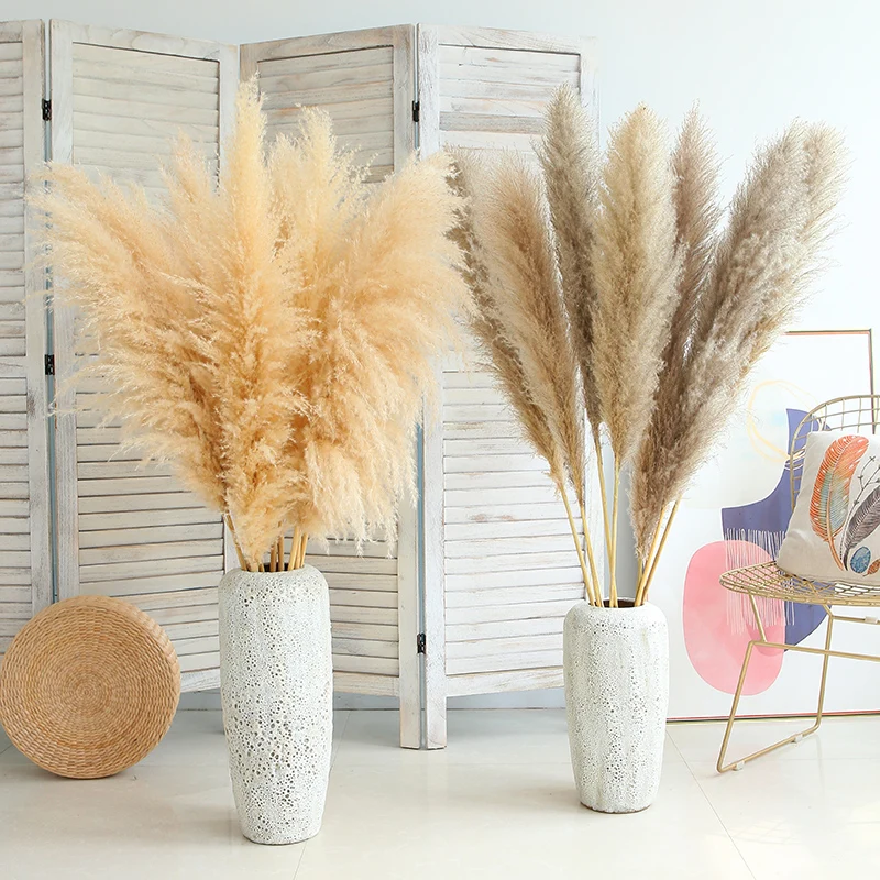 Natural Pampas Grass Large 120CM Fluffy Big Dried Flowers Decor Artificial Flowers Bouquet for Wedding Home Bedroom Decoration
Natural Pampas Grass Large 120CM Fluffy Big Dried Flowers Decor Artificial Flowers Bouquet for Wedding Home Bedroom Decoration