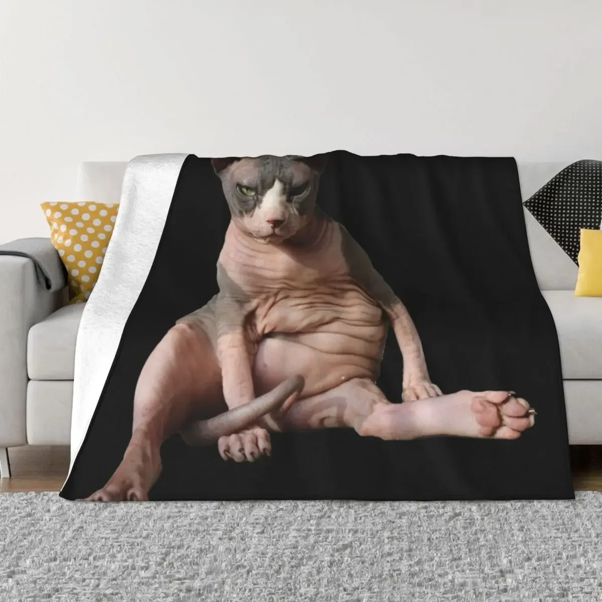 Cowboy the Hairless (cat) Throw Blanket Cute Plaid Decorative Beds Soft Beds Blankets
Cowboy the Hairless (cat) Throw Blanket Cute Plaid Decorative Beds Soft Beds Blankets