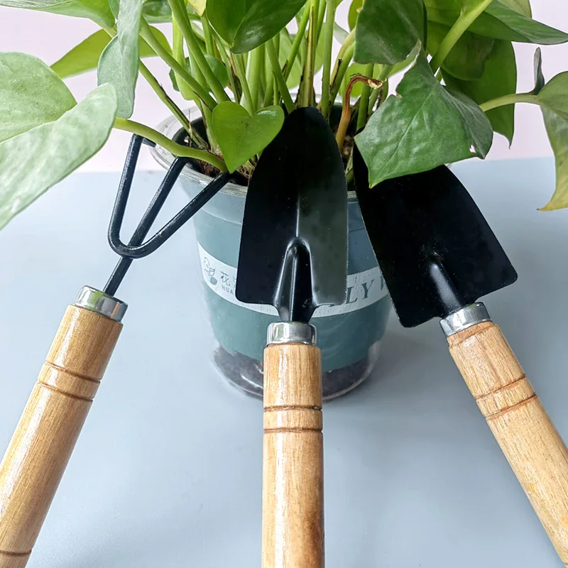 Horticultural Three Piece Set of Flower Planting Tools Household Gardening Soil Shovel Potted Gardening Tools
Horticultural Three Piece Set of Flower Planting Tools Household Gardening Soil Shovel Potted Gardening Tools