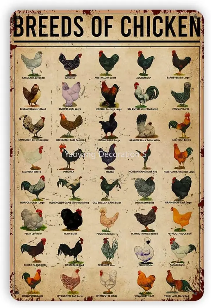 Metal Tin Signs Breeds Of Chickens Tin Sign Vintage Metal Poster Chic Retro Sign Animal Home Decor Knowledge Aluminum Sign Gift
Metal Tin Signs Breeds Of Chickens Tin Sign Vintage Metal Poster Chic Retro Sign Animal Home Decor Knowledge Aluminum Sign Gift