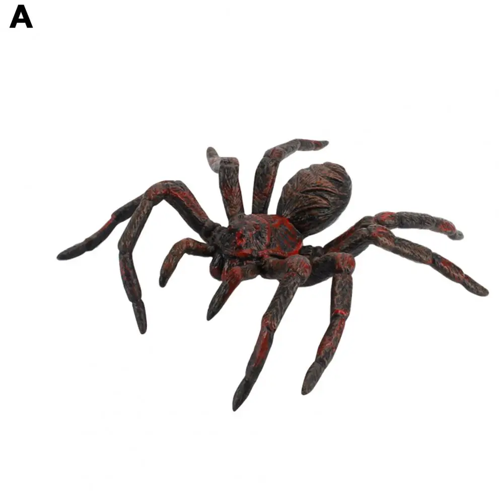Pvc Spider Decoration Realistic Pvc Spider Figurine Halloween Decoration Science Educational Toy Simulated Spider Decoration
Pvc Spider Decoration Realistic Pvc Spider Figurine Halloween Decoration Science Educational Toy Simulated Spider Decoration
