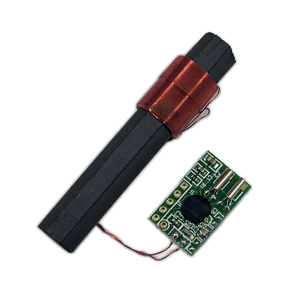 DCF77/JJY Receiver Module Radio Time Module Radio Clock Radio Module With DCF Antenna 1.1-3.3V 77.5 KHz Electronic Components
DCF77/JJY Receiver Module Radio Time Module Radio Clock Radio Module With DCF Antenna 1.1-3.3V 77.5 KHz Electronic Components