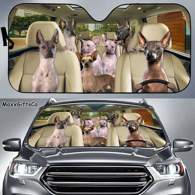 Xoloitzcuintli Car Sun Shade, Xoloitzcuintli Windshield, Dogs Family Sunshade, Dogs Car Accessories, Car Decoration, Dogs Lovers
Xoloitzcuintli Car Sun Shade, Xoloitzcuintli Windshield, Dogs Family Sunshade, Dogs Car Accessories, Car Decoration, Dogs Lovers