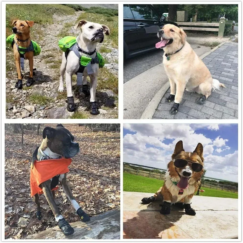Dog Shoes | Waterproof Anti-Slip Rubber Dog Booties A four-panel collage showing various breeds of dogs—including a Golden Retriever and a Corgi—wearing black dog shoes while outdoors. The dogs are shown hiking on rocky trails, sitting on pavement, and posing in the grass.