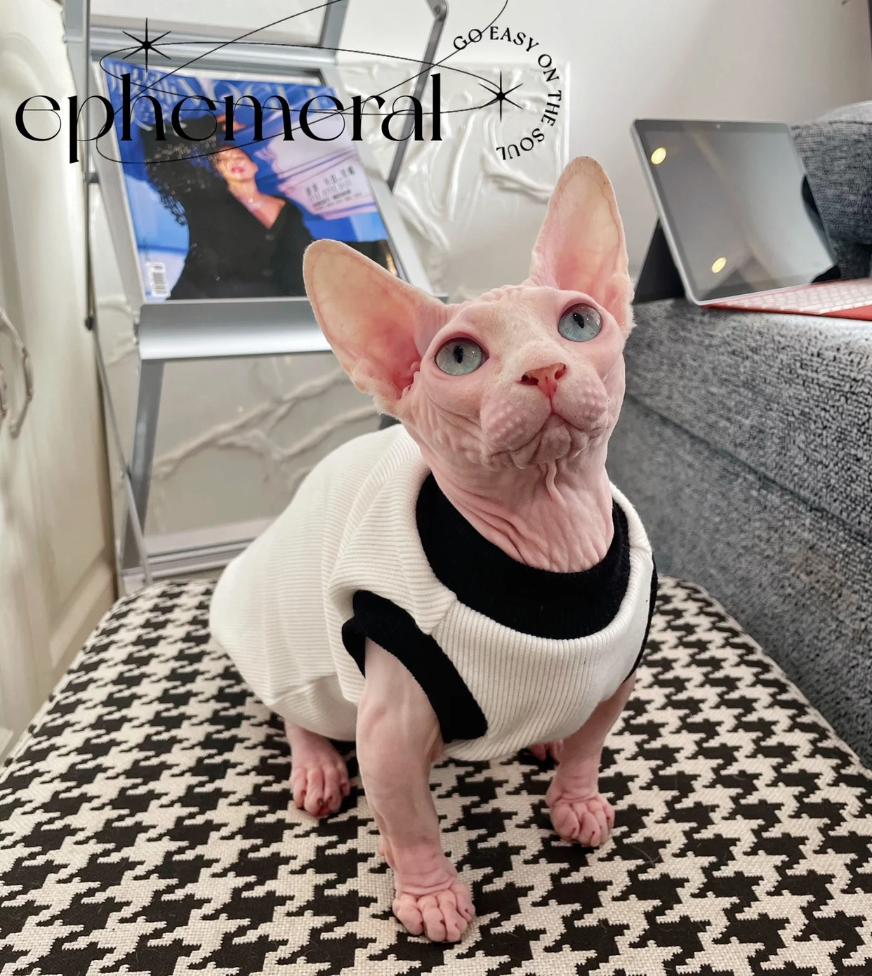 Одежда для кошек, хлопковая рубашка с коротким рукавом для кошек Sphynx, летнее весеннее пальто с мультяшным рисунком для котят, свитшот для Devon Rex
Одежда для кошек, хлопковая рубашка с коротким рукавом для кошек Sphynx, летнее весеннее пальто с мультяшным рисунком для котят, свитшот для Devon Rex