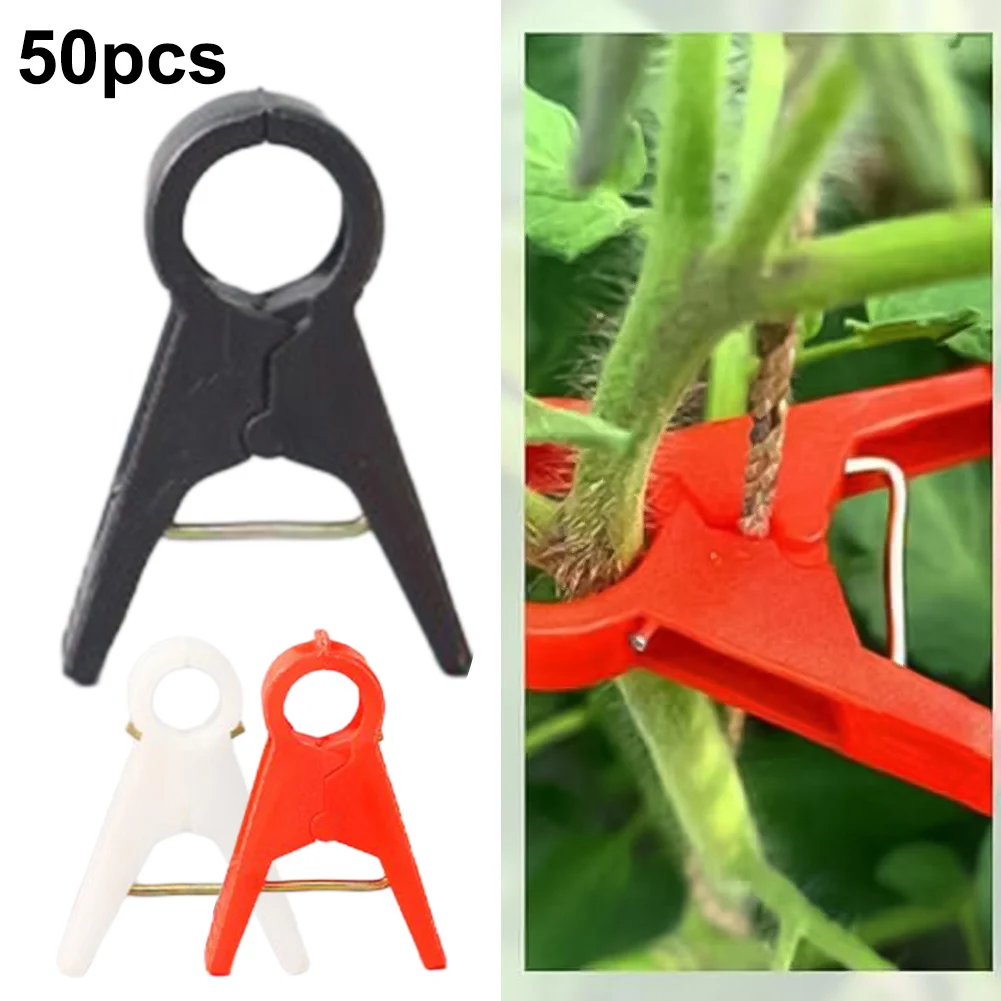 50pcs Reusable Plant Clips Adjusting Climbing Supports Outdoor Garden Climbing Plant Support Fixing Clip For Tomato Vine
50pcs Reusable Plant Clips Adjusting Climbing Supports Outdoor Garden Climbing Plant Support Fixing Clip For Tomato Vine