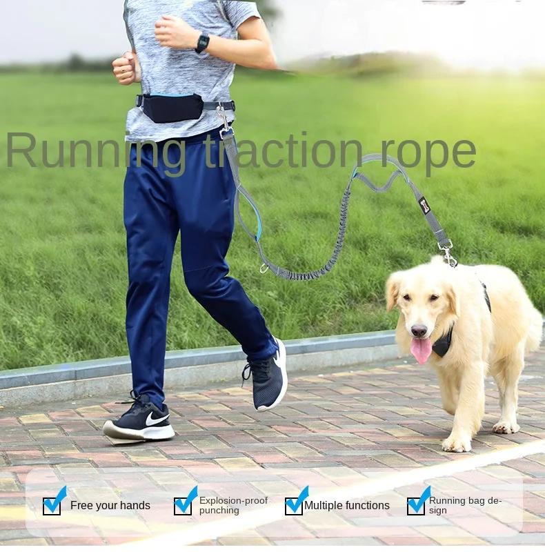 

Pet Dog Collar Running Hand Holding Rope Explosion-Proof Leads High Elasticity Dog Out Dog Leash Dog Chain Harness Comfortable