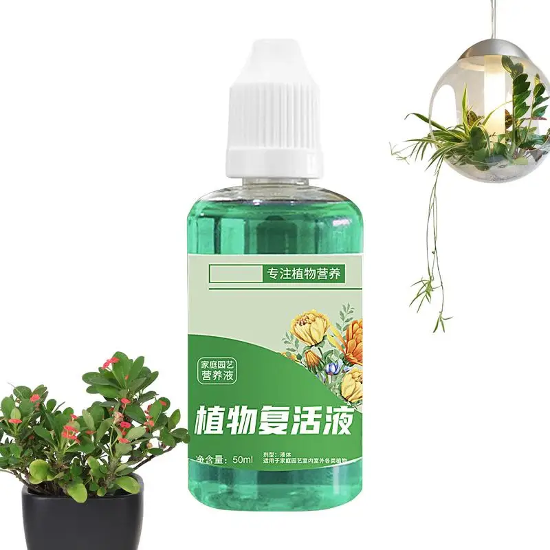 50ml Nutritious Rooting Compound For Plant Root Stimulator For Plants Tree Root Stimulator Houseplant Cuttings Concentrated
50ml Nutritious Rooting Compound For Plant Root Stimulator For Plants Tree Root Stimulator Houseplant Cuttings Concentrated