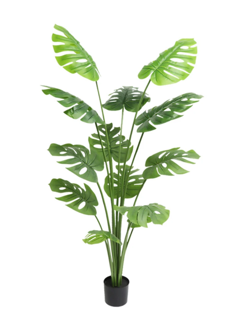 1.8M Imitation Tree Turtle Back Plant Potted Living Room Interior Decoration Decoration Large False Green Plant Bonsai
1.8M Imitation Tree Turtle Back Plant Potted Living Room Interior Decoration Decoration Large False Green Plant Bonsai