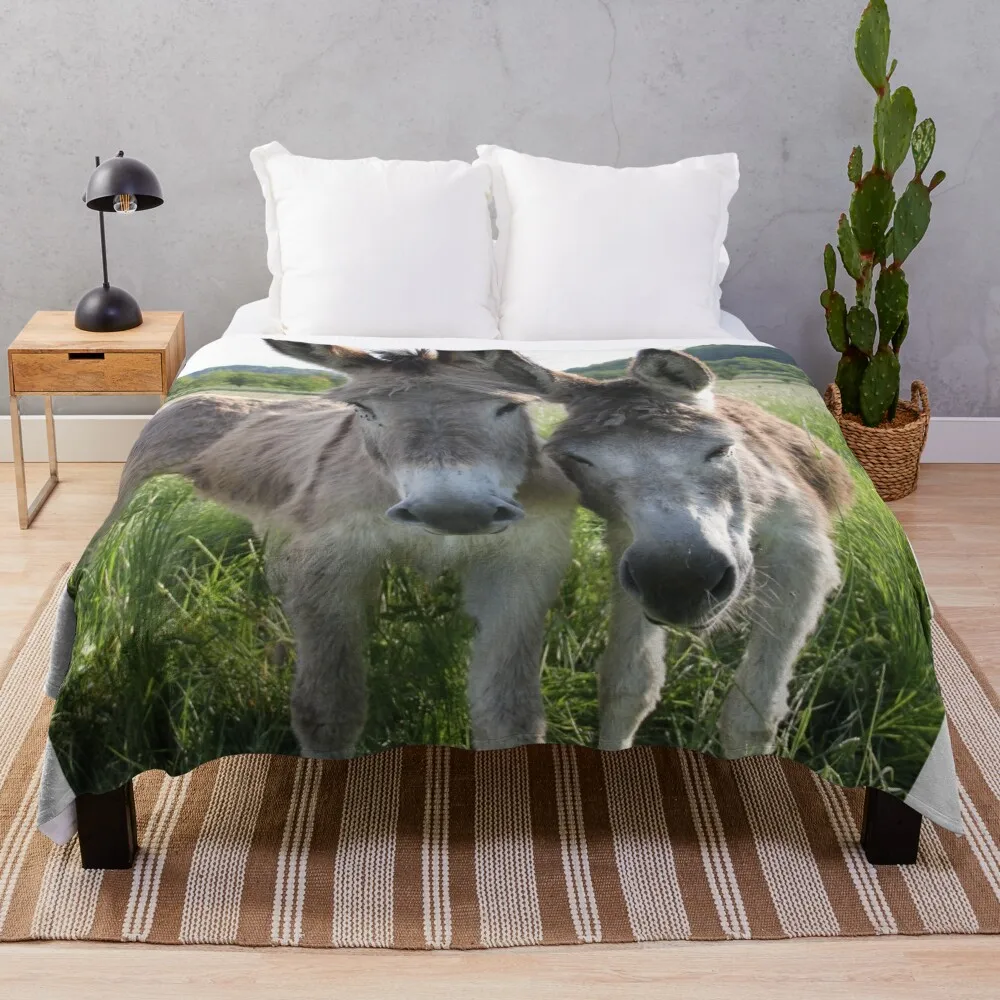 Adorable grey donkeys in the high grass meadow\t Throw Blanket decorative Fluffy Softs Blankets
Adorable grey donkeys in the high grass meadow\t Throw Blanket decorative Fluffy Softs Blankets
