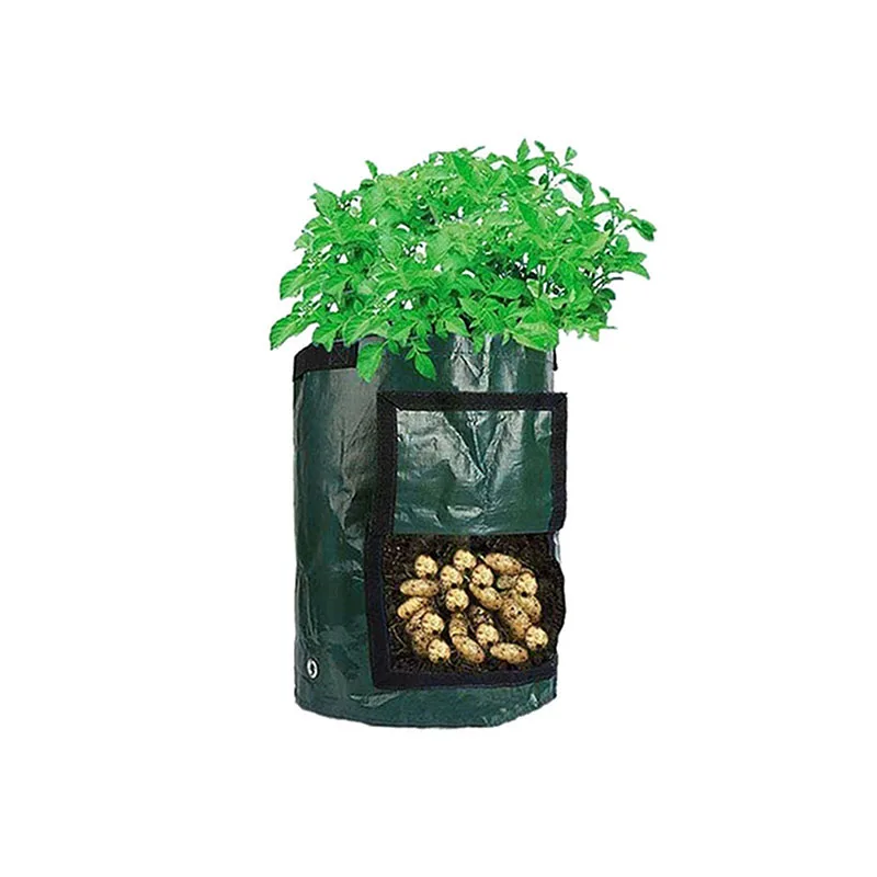 Potato Grow Bags PE Vegetable Planter Growing Bag DIY Grow Pot Outdoor Garden Pots Garden Tools Vegetable Garden
Potato Grow Bags PE Vegetable Planter Growing Bag DIY Grow Pot Outdoor Garden Pots Garden Tools Vegetable Garden