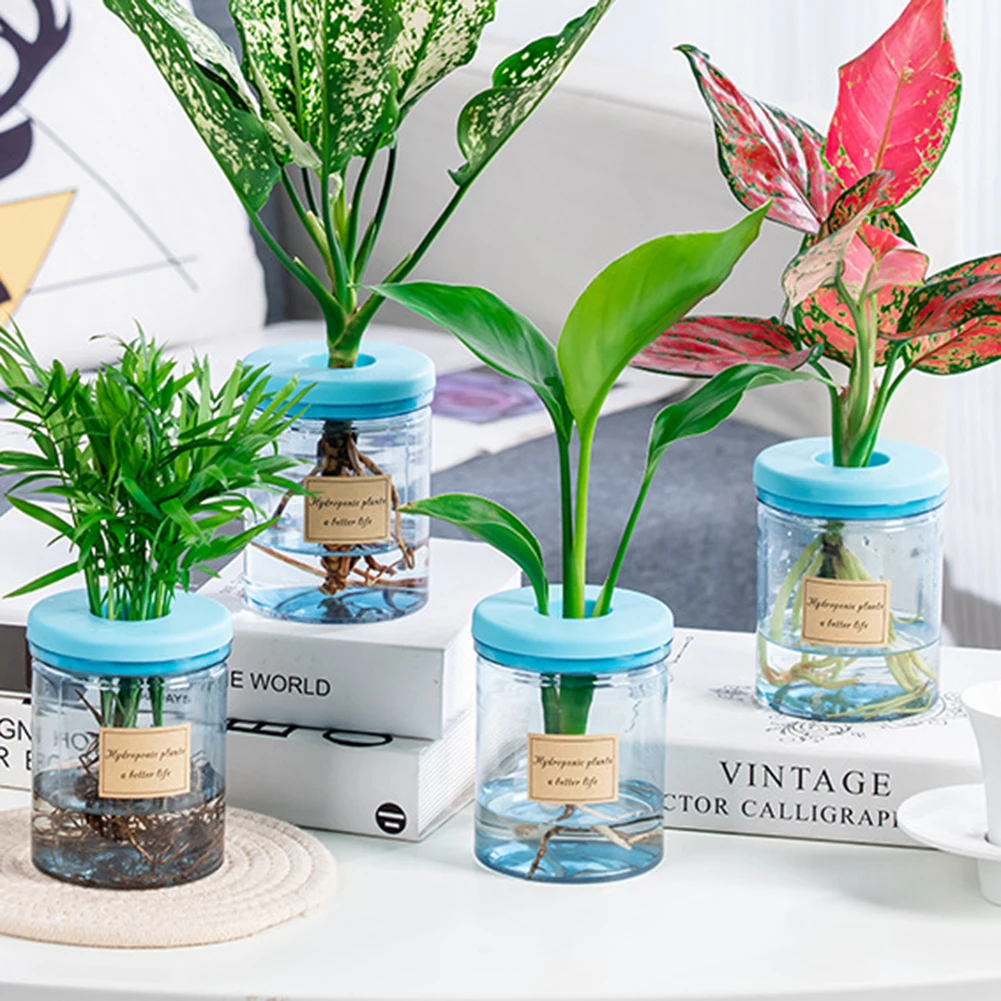 Hydroponic Plant Pot Practical Replacement Transparent Plastic 1pcs Accessories Durable Flower Pot High Quality
Hydroponic Plant Pot Practical Replacement Transparent Plastic 1pcs Accessories Durable Flower Pot High Quality