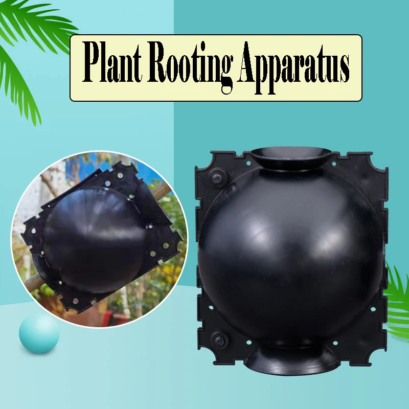 1PC Plant High-pressure Box Rooting Device Grafting Box Tree High-pressure Propagation Cutting Rooting Device Rooting Ball
1PC Plant High-pressure Box Rooting Device Grafting Box Tree High-pressure Propagation Cutting Rooting Device Rooting Ball