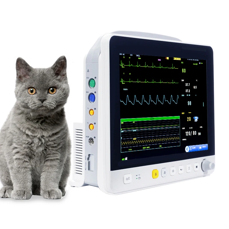 Yonker 12 Inch Veterinary Vital Signs Monitor for Pets Clinics and Vet Hosptials High-End Parameters Modular Patient Monitor for
Yonker 12 Inch Veterinary Vital Signs Monitor for Pets Clinics and Vet Hosptials High-End Parameters Modular Patient Monitor for