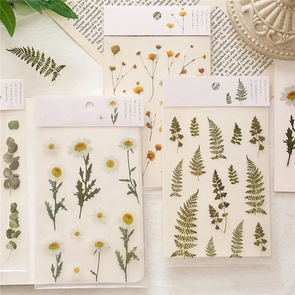 Цветы, искусственные натуральные растения, цветок радужной оболочки, наклейка в виде книги с клевером, наклейка для оформления интерьера, прозрачная наклейка
Цветы, искусственные натуральные растения, цветок радужной оболочки, наклейка в виде книги с клевером, наклейка для оформления интерьера, прозрачная наклейка