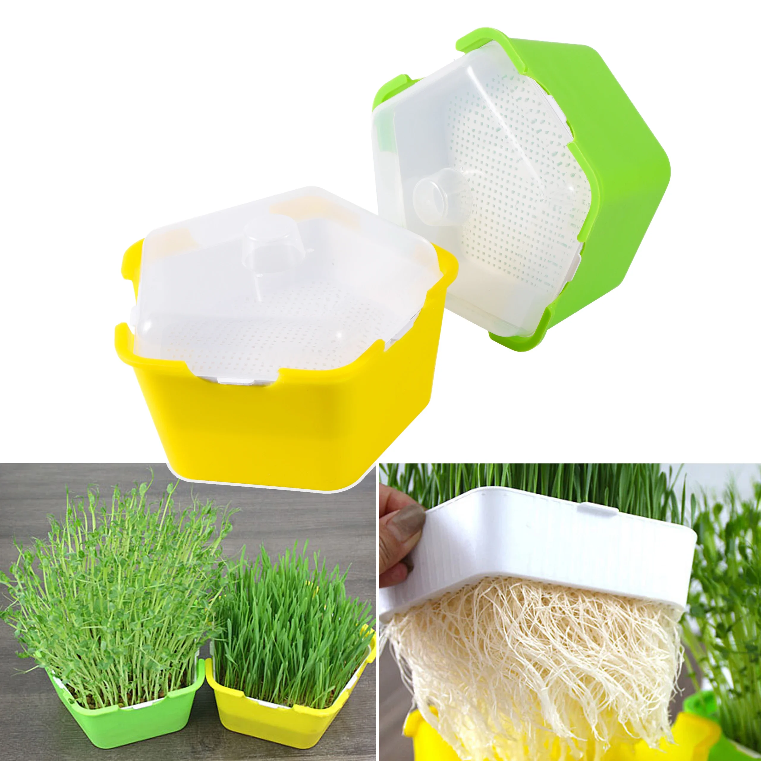 

Bean Sprouts Growing Tray Seed Seedling Starter Dish Greenhouse Hydroponics Plant Cat Grass Germination Nursery Pot Grow Box