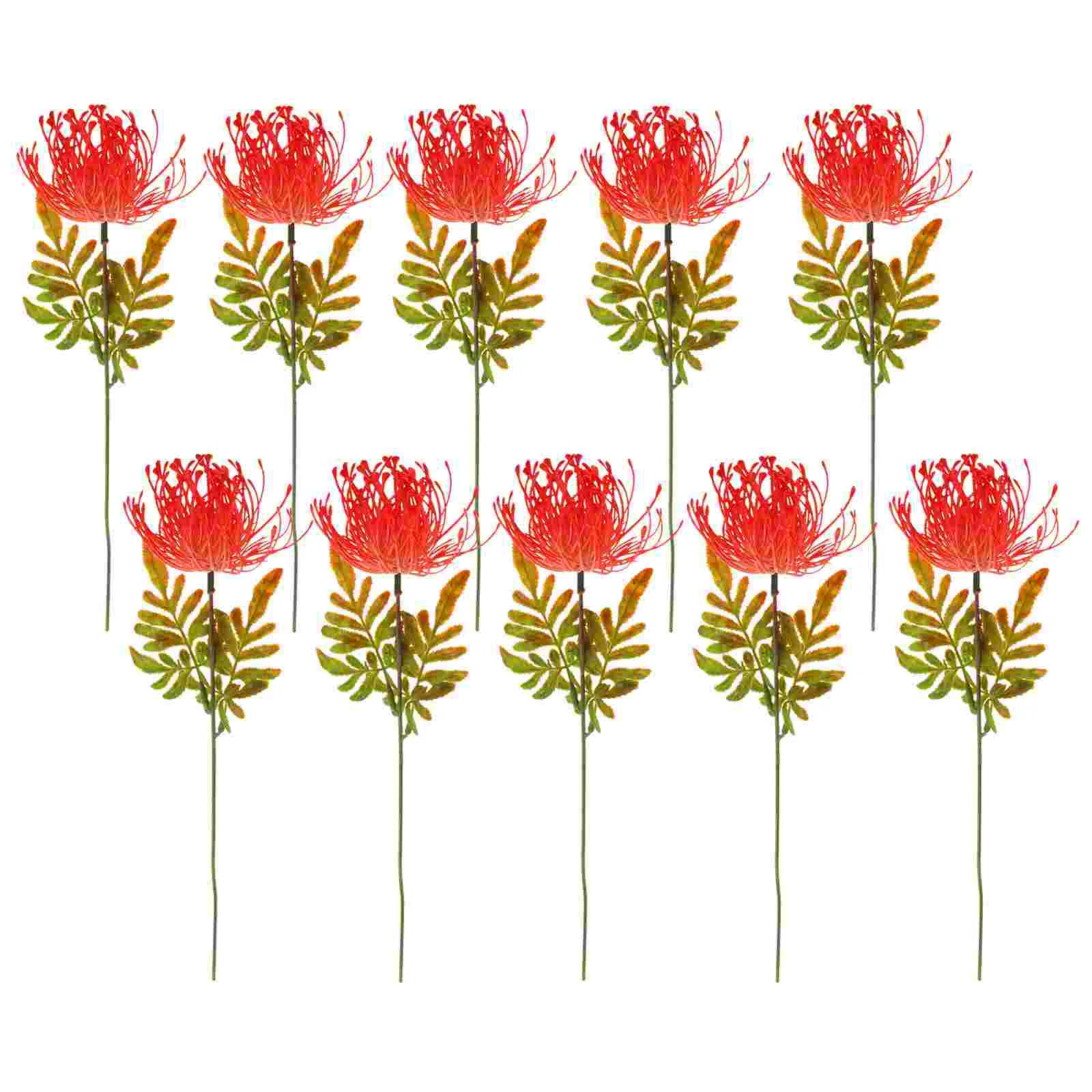 Artificial Flower Stems Red Spider Lily Flowers Lycoris Radiata Stems Artificial Simulated DIY Table Centerpiece Decor
Artificial Flower Stems Red Spider Lily Flowers Lycoris Radiata Stems Artificial Simulated DIY Table Centerpiece Decor