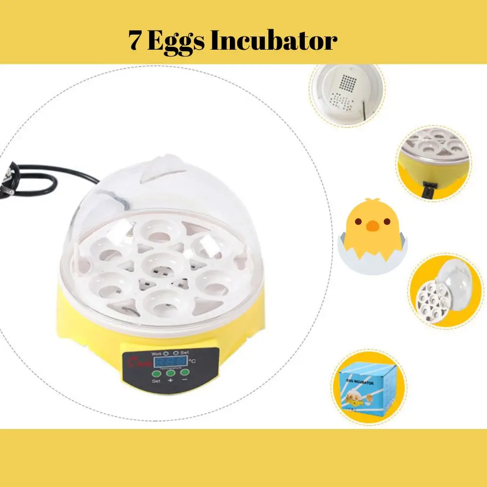 Mini Eggs Incubator Brooder Bird Quail Chick Hatchery Hatcher Farm Tray Automatic Poultry New Tools Incubation Incubator
Mini Eggs Incubator Brooder Bird Quail Chick Hatchery Hatcher Farm Tray Automatic Poultry New Tools Incubation Incubator